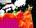 NOAA人工衛星画像:黒潮域, 1日合成画像(2024/07/16UTC)