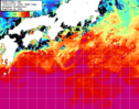 NOAA人工衛星画像:黒潮域, 1週間合成画像(2024/07/12～2024/07/18UTC)