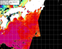 NOAA人工衛星画像:黒潮域, 1日合成画像(2024/07/23UTC)