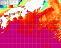NOAA人工衛星画像:黒潮域, 1週間合成画像(2024/07/17～2024/07/23UTC)