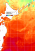 NOAA人工衛星画像:親潮域, 1週間合成画像(2024/07/17～2024/07/23UTC)