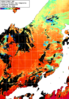 NOAA人工衛星画像:日本海, 1日合成画像(2024/07/24UTC)
