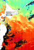 NOAA人工衛星画像:親潮域, 1日合成画像(2024/07/25UTC)