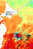 NOAA人工衛星画像:親潮域, 1週間合成画像(2024/09/25～2024/10/01UTC)