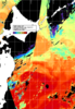 NOAA人工衛星画像:親潮域, 1日合成画像(2024/10/02UTC)