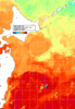 NOAA人工衛星画像:親潮域, 1週間合成画像(2024/09/26～2024/10/02UTC)