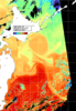 NOAA人工衛星画像:親潮域, パス=20241012 12:17 UTC