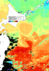 NOAA人工衛星画像:親潮域, 1日合成画像(2024/10/17UTC)