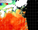 NOAA人工衛星画像:黒潮域, 1日合成画像(2024/10/18UTC)