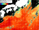 NOAA人工衛星画像:黒潮域, 1日合成画像(2024/10/19UTC)