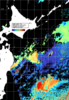 NOAA人工衛星画像:親潮域, パス=20241021 11:38 UTC