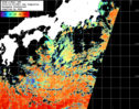 NOAA人工衛星画像:黒潮域, 1日合成画像(2024/10/22UTC)