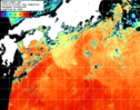 NOAA人工衛星画像:黒潮域, 1日合成画像(2024/10/23UTC)