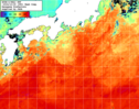 NOAA人工衛星画像:黒潮域, 1週間合成画像(2024/10/19～2024/10/25UTC)