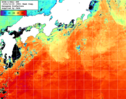 NOAA人工衛星画像:黒潮域, 1週間合成画像(2024/10/23～2024/10/29UTC)