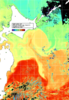 NOAA人工衛星画像:親潮域, 1日合成画像(2024/10/31UTC)