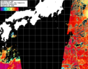 NOAA人工衛星画像:黒潮域, 1日合成画像(2024/11/01UTC)