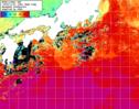 NOAA人工衛星画像:黒潮域, 1週間合成画像(2024/10/26～2024/11/01UTC)