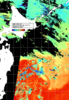 NOAA人工衛星画像:親潮域, 1日合成画像(2024/11/01UTC)