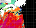 NOAA人工衛星画像:黒潮域, 1日合成画像(2024/11/02UTC)