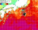 NOAA人工衛星画像:黒潮域, 1週間合成画像(2024/10/27～2024/11/02UTC)