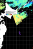 NOAA人工衛星画像:親潮域, 1日合成画像(2024/11/02UTC)