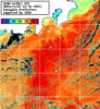 NOAA人工衛星画像:神奈川県近海, パス=20241103 12:34 UTC