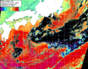 NOAA人工衛星画像:黒潮域, パス=20241103 01:21 UTC