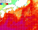 NOAA人工衛星画像:黒潮域, 1週間合成画像(2024/10/28～2024/11/03UTC)