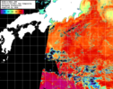 NOAA人工衛星画像:黒潮域, 1日合成画像(2024/11/04UTC)