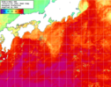 NOAA人工衛星画像:黒潮域, 1週間合成画像(2024/10/29～2024/11/04UTC)