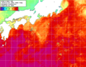 NOAA人工衛星画像:黒潮域, 1週間合成画像(2024/10/30～2024/11/05UTC)