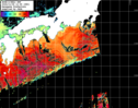 NOAA人工衛星画像:黒潮域, パス=20241106 12:55 UTC