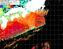 NOAA人工衛星画像:黒潮域, 1日合成画像(2024/11/06UTC)