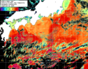 NOAA人工衛星画像:黒潮域, 1日合成画像(2024/11/07UTC)