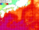 NOAA人工衛星画像:黒潮域, 1週間合成画像(2024/11/01～2024/11/07UTC)