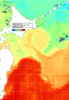 NOAA人工衛星画像:親潮域, 1週間合成画像(2024/11/01～2024/11/07UTC)
