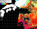 NOAA人工衛星画像:黒潮域, 1日合成画像(2024/11/08UTC)