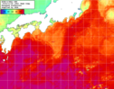 NOAA人工衛星画像:黒潮域, 1週間合成画像(2024/11/02～2024/11/08UTC)