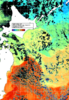 NOAA人工衛星画像:親潮域, 1日合成画像(2024/11/08UTC)