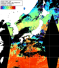 NOAA人工衛星画像:日本全域, 1日合成画像(2024/11/10UTC)