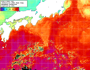 NOAA人工衛星画像:黒潮域, 1週間合成画像(2024/11/04～2024/11/10UTC)