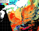 NOAA人工衛星画像:黒潮域, パス=20241111 12:25 UTC