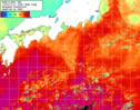 NOAA人工衛星画像:黒潮域, 1週間合成画像(2024/11/05～2024/11/11UTC)