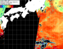 NOAA人工衛星画像:黒潮域, 1日合成画像(2024/11/12UTC)