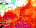 NOAA人工衛星画像:黒潮域, 1週間合成画像(2024/11/06～2024/11/12UTC)
