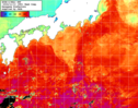 NOAA人工衛星画像:黒潮域, 1週間合成画像(2024/11/07～2024/11/13UTC)