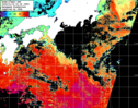 NOAA人工衛星画像:黒潮域, パス=20241114 01:25 UTC