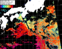 NOAA人工衛星画像:黒潮域, パス=20241114 12:43 UTC