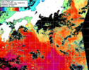 NOAA人工衛星画像:黒潮域, 1日合成画像(2024/11/14UTC)